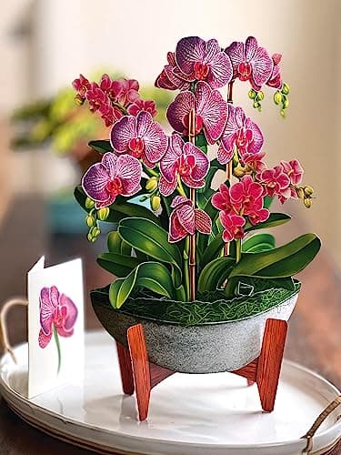 Freshcut Paper Pop Up Cards, Orchid Oasis, 12 Inch Life Sized Forever Flower Bouquet 3D Popup Greeting Card, Birthday Cards, Get Well Gifts, Blank Notecard & Envelope - Image 3