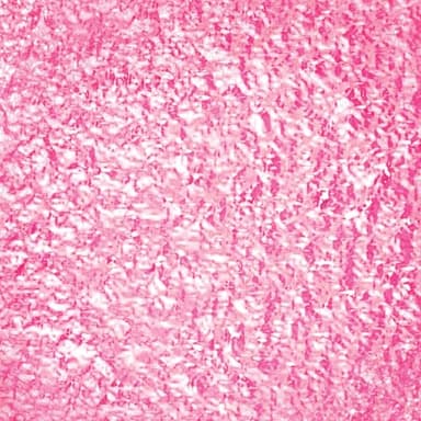 OPI Nail Lacquer Pixel Dust | Opaque Light Pink Shimmer Chip Resistant Nail Polish | Xbox Collection - Image 2