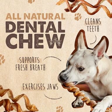 Mighty Paw Naturals Curly Bully Sticks for Dogs - Grass Fed Beef Chews. Bully Sticks for Large Dogs, Medium, Small Breeds. Lower Odor Treats for Small Pets. Single Ingredient 6” - 5 Pack - Image 2