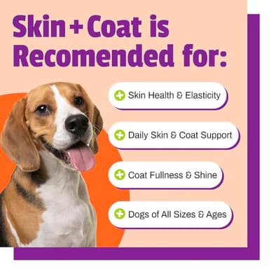 Pet Naturals Skin and Coat for Dogs with Dry, Itchy and Irritated Skin, 30 Chews - Salmon Oil, Vitamin E and Flax Oil - No Corn or Wheat - Vet Recommended - Image 5