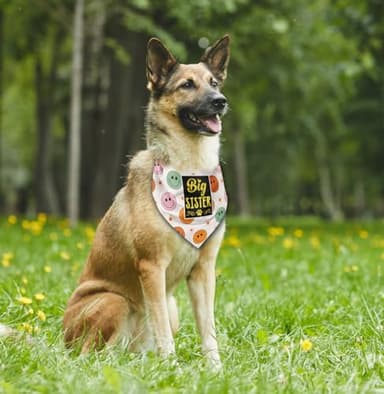 Big Sister Dog Bandana - Plaid Scarf Gender Reveal Accessory, Pet Baby Announcement Gift (E33) - Image 4