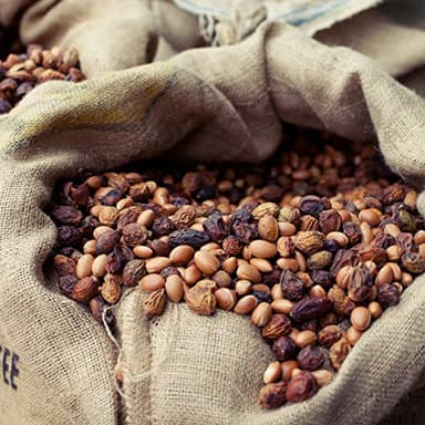 Weleda Face Care Plumping Oil, 1 Fluid Ounce, Plant Rich Moisturizer with Pomegranate Extract and Aloe Vera - Image 12