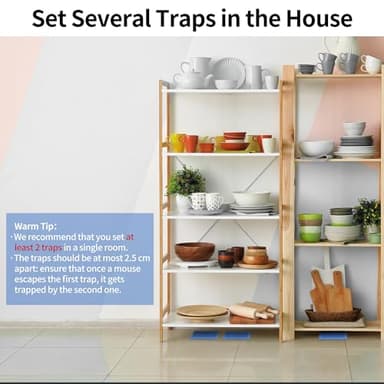 LULUCATCH Mouse & Insect Traps 12 Pack, Heavier Sticky Traps with Non-Toxic Glue for Small Mice & Insects. Sticky Mouse Traps Indoor, Easy to Set, Safe to Children & Pets - Image 7