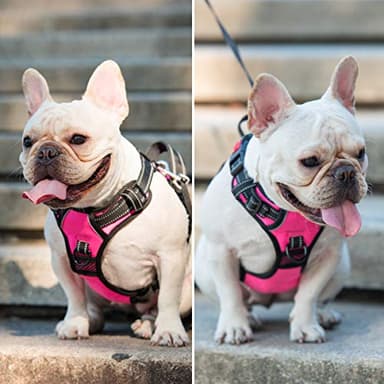 PoyPet No Pull Dog Harness, No Choke Front Clip Dog Reflective Harness, Adjustable Soft Padded Pet Vest with Easy Control Handle for Small to Large Dogs(Pink,L) - Image 6