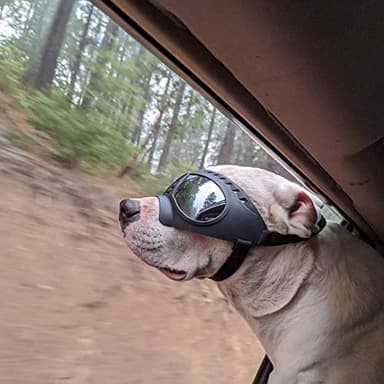 Namsan Dog Goggles for Large Dogs, Wide Snout & Soft Frame, Tactical Driving Sunglasses for Dogs Medium to Large Breed, Anti-UV Dog Eye Protection, Windproof Dustproof, Adjustable, Black - Image 8