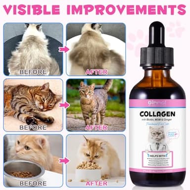 Collagen for Cats, Cat Collagen Liquid Drops for Cats with Biotin, MSM & Ginger Digestive & Immunity Support, Itch Relief, Skin & Coat and Joint Health, Cat Supplement 60ml ﻿ - Image 3
