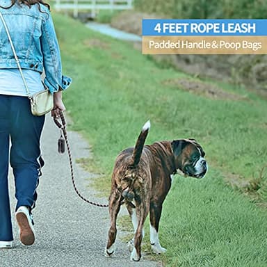 BAAPET 2/4/5/6 FT Dog Leash with Comfortable Padded Handle and Highly Reflective Threads for Small Medium and Large Dogs (4FT-1/2'', Black) - Image 5