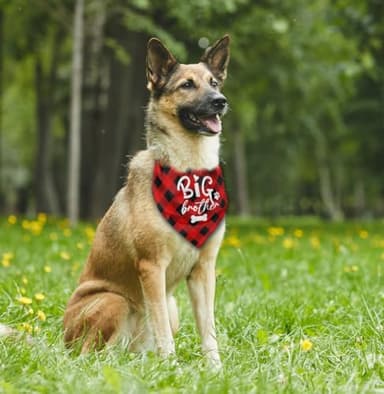 Dog Bandana, Big Brother Dog Bandana, Dogs Muffler Classical White Printing, Doggy Muffler Pet Scarf, Pet Baby Announcement Plaid Scarf Gender Reveal Accessories, for Small Medium Large 03 - Image 3