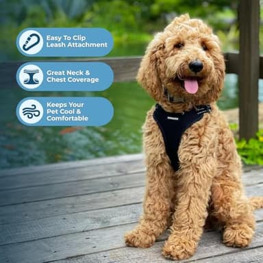 Best Pet Supplies Voyager Adjustable Dog Vest Harness Breathable No Pull Harness for Small, Medium, Large Dogs, Harness for Walking, Jogging, Easy Step-in, Reflective Stripes - Black, M - Image 5