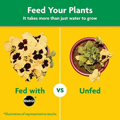 Miracle-Gro Water Soluble All Purpose Plant Food, Fertilizer for Indoor or Outdoor Flowers, Vegetables or Trees, 3 lbs. - Image 8