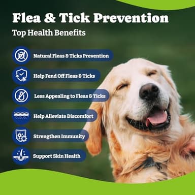 YoYoBay Flea & Tick Prevention for Dogs Chewables, Natural Dog Flea and Tick Control Treatment, Oral Flea Pills, Dogs Supplement, Natural Shield 5-in-1 Protection, Beef & Carrot Flavor, 180 Soft Chews - Image 3