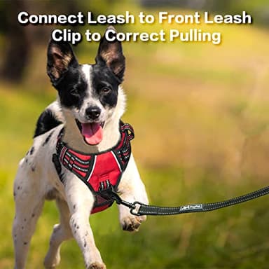 PoyPet No Pull Dog Harness, No Choke Front Clip Reflective Dog Vest with Soft Padded Vertical Handle, 3 Leash Attachments for Small Medium Large Dogs (Red,XL) - Image 5