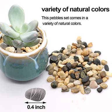 River Rocks Stones Natural Decorative Mixed Color Pebbles Fish Tank Gravel Small Garden Rocks Soil Cover for Aquariums, Landscaping, Vase Fillers, Succulent, Tillandsia, Cactus, Terrarium Plants 2.2lb - Image 3