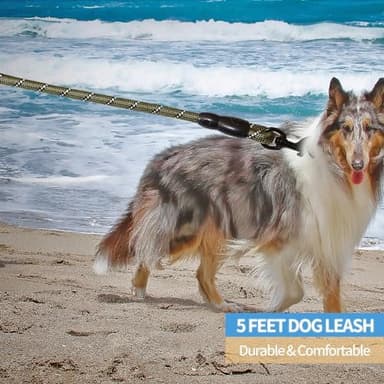 BAAPET 2/4/5/6 FT Dog Leash with Comfortable Padded Handle and Highly Reflective Threads for Small Medium and Large Dogs (5FT-1/2'', Olive Green - Image 6