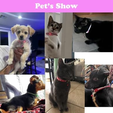 Yellow Dog Collar with Bell, 2-Pack Cat Collar with Bell Reflective Puppy Collar Nylon Soft Adjustable Buckle for XXS XSmall Extra Small Tiny Boy Girl Pets Female Kitten Yorkie Teacup Chihuahua Small - Image 2
