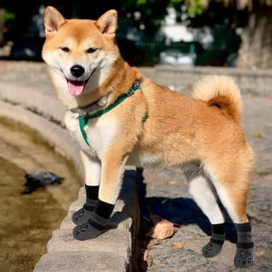 EXPAWLORER 6PCS Anti-Slip Dog Socks to Prevent Licking Paws,Dog Shoes for Hot Pavement,Best Paw Protector Traction Control on Hardwood Floor,Dog Booties for Puppy Small Medium Large Senior Dogs - Image 6