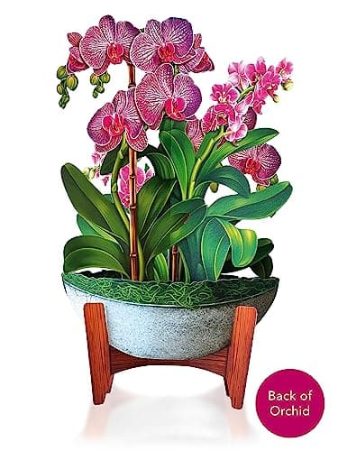 Freshcut Paper Pop Up Cards, Orchid Oasis, 12 Inch Life Sized Forever Flower Bouquet 3D Popup Greeting Card, Birthday Cards, Get Well Gifts, Blank Notecard & Envelope - Image 6