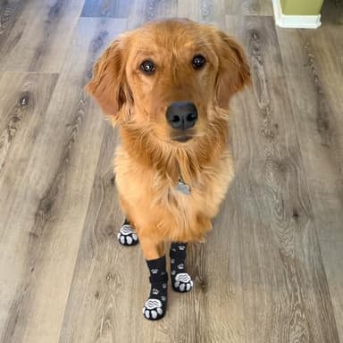 EXPAWLORER Dog Socks to Prevent Licking Paws, Dog Paw Protector with Strong Traction Control on Hardwood Floors Anti Slip, Dog Booties, Dog Shoes for Small Medium Large Senior Dogs - Image 6