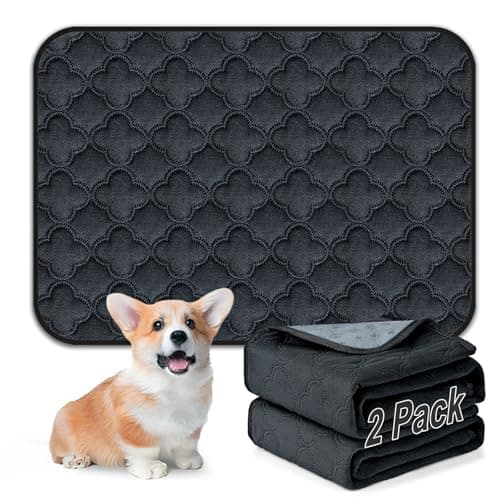 FunFurry Washable Pee Pads for Dogs - 2 Pack Reusable Pee Pads，Waterproof Puppy Pads，Pet Training Pads，Super Absorbent with Dog Paw Shape Non-Slip Backing (Dark Grey, 18" X 24" - 2 Pack) - Image 1