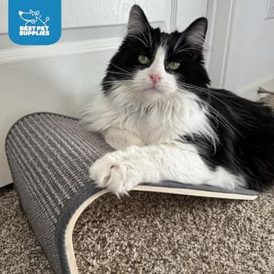 Best Pet Supplies Catify Sloped Sisal Cat Scratchers for Indoor Cats, Climbing Ramp Fun and Interactive Indoor Play, Supports Natural Pet Behaviors, Heavy Duty - Cream - Image 6