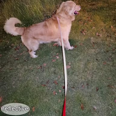 YUCFOREN 10FT 15FT 20FT Anti-Choke Long Slip Lead Dog Leash, 3/4" Wide Nylon Reflective Leash No Pull Training Lead for Medium Large Dogs (15FT * 3/4" Blue) - Image 3