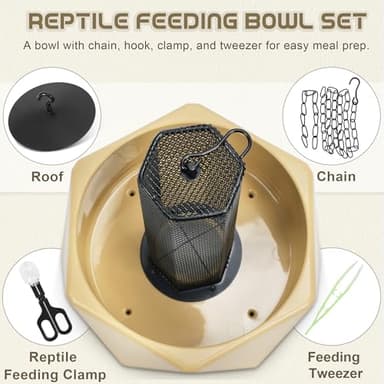 Fischuel Chameleon Feeding Bowl, Hanging Insect Feeder with a Pillar for Prey to Climb Up, Suitable for Chameleon, Bearded Dragon, Lizard, Iguana, Gecko(Khaki) - Image 3