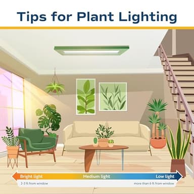 Costa Farms Anthurium Plant, Live Indoor Houseplant with Red Flowers, Easy Grow Flowering House Plant in Cute Décor Pot, Birthday, Housewarming, Get Well Soon, Home, Room, Office Décor, 12-Inches Tall - Image 9