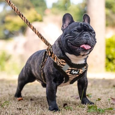 PUPTECK Dog Harness and Leash Set Medium Sized, Step in No Pull Adjustable Puppy Cat Harness Reflective Pet Vest - Image 5