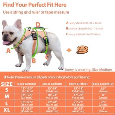 Huntboo Escape Proof Dog Harness, Escape Artist Harness, Reflective Dog Harness with Handle, Durable,Adjustable Vest for Small Medium Large Dogs Walking, Training, and Running Gear(Orange,M) - Image 6