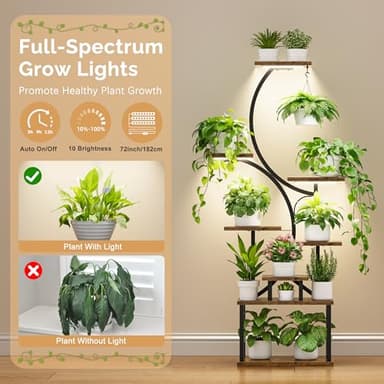 Plant Stand Indoor with Grow Lights - 62" Tall Plant Shelf, Lighted Corner Plant Stands for Indoor Growing, 8 Tiered Large Flower Holder, S-Shaped Decorative Rack for Living Room, Black, Patent Design - Image 4