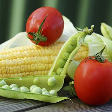 Augason Farms Vegetable Garden Seeds 13 Variety 1 lb No. 10 Can - Image 2