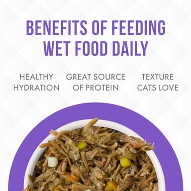 Weruva TruLuxe Cat Food, Steak Frites Dinner with Beef & Pumpkin in Gravy, 6oz Can (Pack of 24) - Image 6