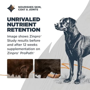 Blackwood Sensitive Skin & Stomach Dry Dog Food, Lamb Meal & Brown Rice with Ancient Grains, 10 Pound Bag with Prebiotics & Probiotics to Promote Gut Health - Image 5