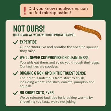 Hatortempt Chicken Feed Dried Mealworms - 5 Lb, Non-GMO & Organic - High-Protein Mealworms for Wild Birds & Ducks, Chicken Treats & Bird Food - Image 5