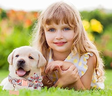 Cute Girl Dog Collar and Leash Set with Flower Bowtie,Adjustable Floral Collar for Female Dog,Metal Buckle,Tag Decor for Small Puppy Medium Large Dogs Cats(M, Green) - Image 2