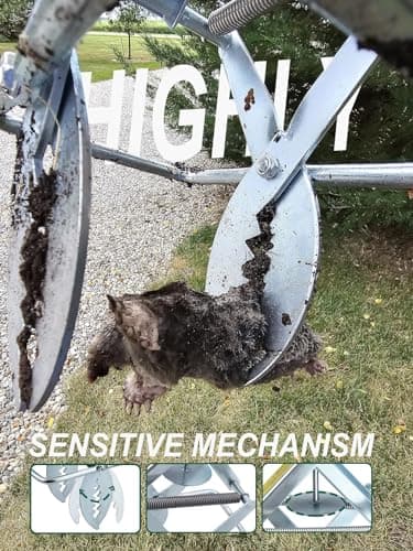 Mole Trap Scissor 2 Pack, Upgraded Mole Traps for Lawns That Kill Best, Galvanized Steel Mole Killer, Easy Step Setup - Image 7