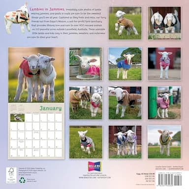 2025 Wall Calendar: Lambies in Jammies & Goats In Coats, 12" x 12" - Image 2