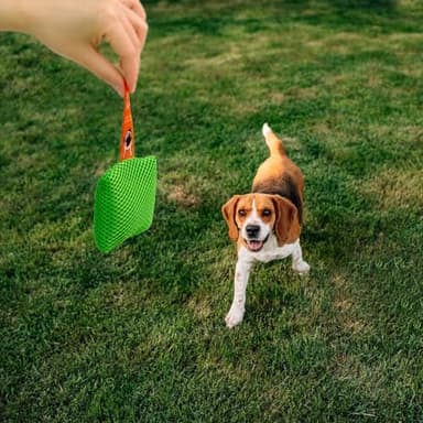 Dog scent training kit,Dog Brain Games, Hide and Seek Dog Toys, Dog Games - Fun Nose Work for Dogs, Sniff and Seek Dog Sniffing Toys , Dog Nosework Kit, Scent Work Kit for All Ages Dog (Green) - Image 7