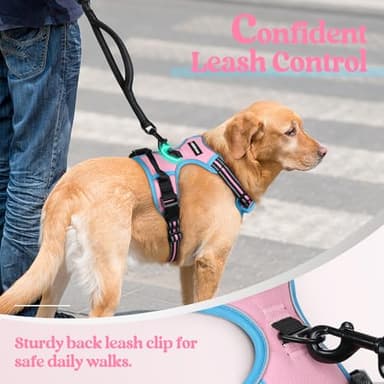 rabbitgoo Dog Harness No Pull with 2 Leash Clips, Adjustable Soft Padded, Reflective Oxford No Choke Pet Vest with Easy Control Handle for Medium Sized Dogs, Pink & Blue, M - Image 6