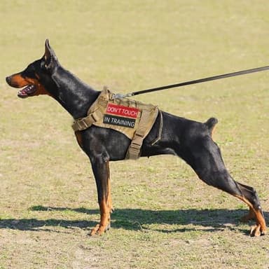 Service Dog Patch 8 Pcs, Do Not Pet, Best Friend, in Training, Emotional Support Patch, (Large-1.50 x 5.12) - Image 3