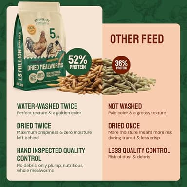 Hatortempt Chicken Feed Dried Mealworms - 5 Lb, Non-GMO & Organic - High-Protein Mealworms for Wild Birds & Ducks, Chicken Treats & Bird Food - Image 4