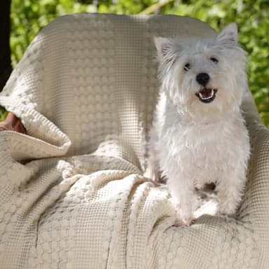 David's Home 100% Cotton Waffle Blanket Queen Size, Lightweight Breathable Soft Cooling Blanket for All Seasons, Gift for Women, Aesthetics Home Decor for Couch Sofa Bedding,Oatmeal,90x90 - Image 8