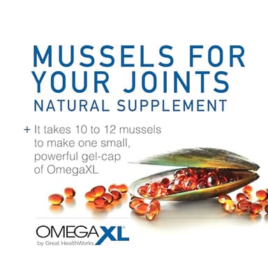 OmegaXL Joint Support Supplement - Natural Muscle Support, Green Lipped Mussel Oil, Soft Gel Pills, Drug-Free, 120 Count - Image 5