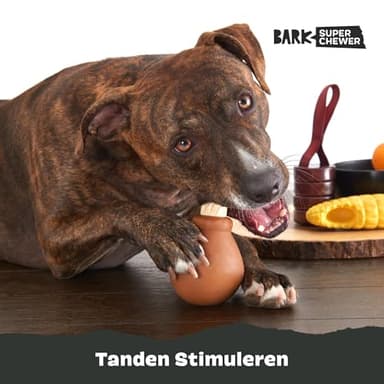 Barkbox Super Chewer Tough Dog Chew Toys for Aggressive Chewers, Dental Stimulating (Turkey - Large) - Image 5