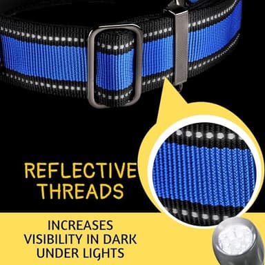 ADITYNA Heavy Duty Dog Collar for Medium Dogs - Medium Dog Collar with Handle - Ultra Comfortable Soft Neoprene Padded - Image 4