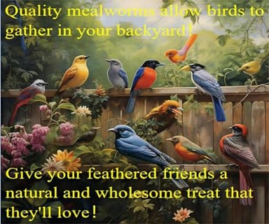 Classic Flock 5lb Dried mealworms - High Protein, Pure Natural, Delicious - Ideal for Chickens, Birds, Ducks, Lizards, Turtles, Fish, and Reptiles, 5lb Meal Worms - Image 5