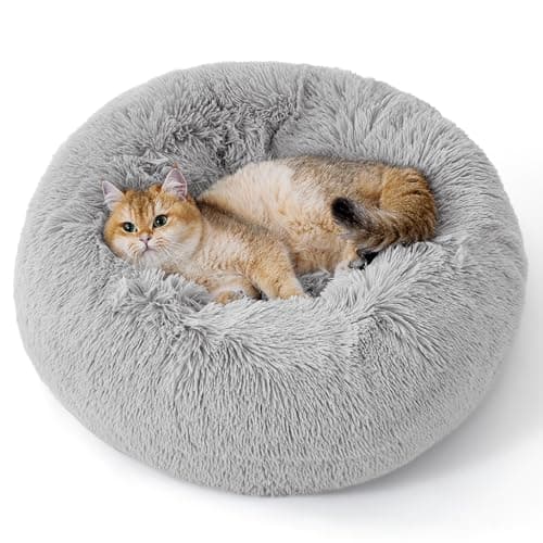 Bedsure Calming Cat Beds for Indoor Cats - Small Cat Bed Washable 20 inches, Anti-Slip Round Fluffy Plush Faux Fur Pet Bed, Fits up to 15 lbs Pets, Pale Grey - Image 1