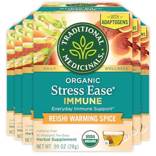 Traditional Medicinals Tea, Organic Stress Ease Immune with Adaptogens, Everyday Immune Support, Reishi Warming Spice, 96 Tea Bags - Image 1