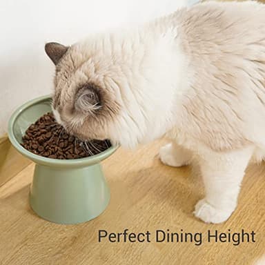 CEEFU Extra Wide Elevated Ceramic Cat Food Bowl - 6.2" Shallow Dish for Whisker Fatigue Relief, 5" Height for Easy Feeding, Lead & Cadmium Free, Durable Raised Cat Food Bowls, Sage Green - Image 2