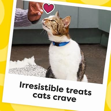 Temptations Classic Crunchy and Soft Cat Treats Tasty Chicken Flavor, 16 oz. Tub - Image 10